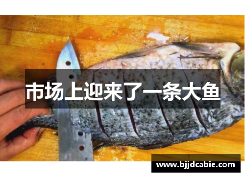 市场上迎来了一条大鱼